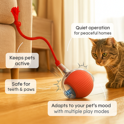 Barksy™ The Interactive Ball