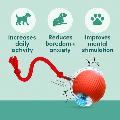 Barksy™ The Interactive Ball