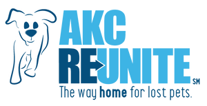 Publication logo