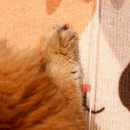 Barksy™ Simple & Easy Self-adhesive Cat Scratch