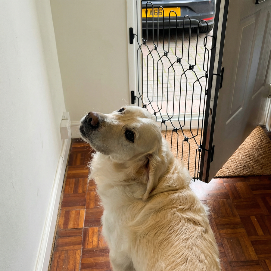 PetGate Safety Plus in a modern home