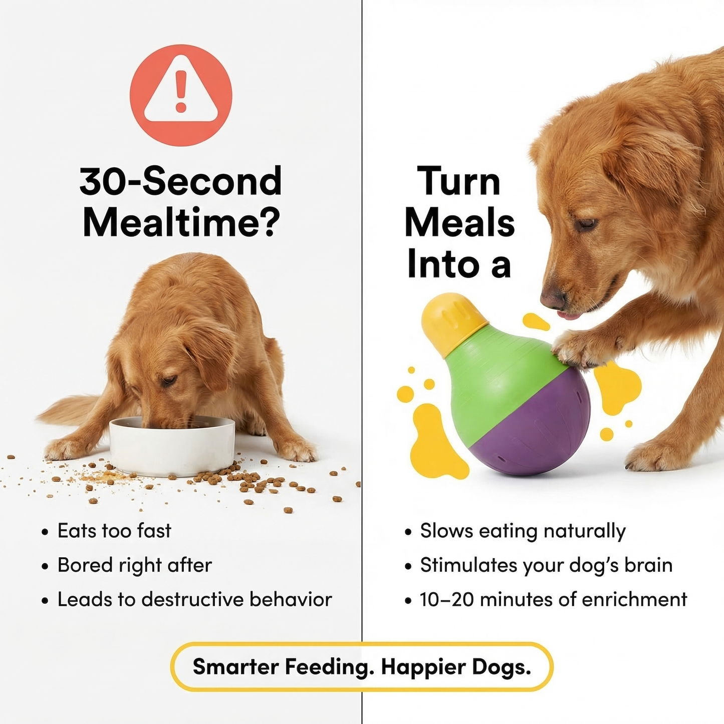 GutBuddy - For Their Insatiable Hunger