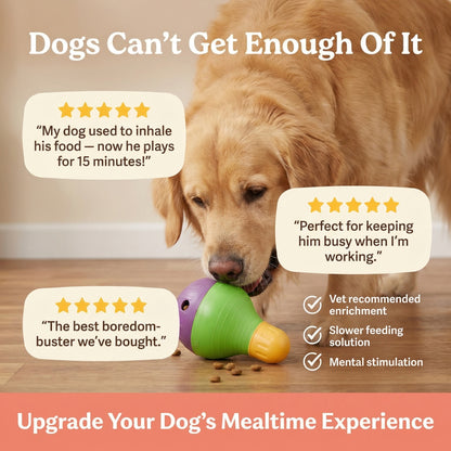 GutBuddy - For Their Insatiable Hunger