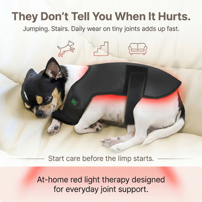 RedPaw Therapy