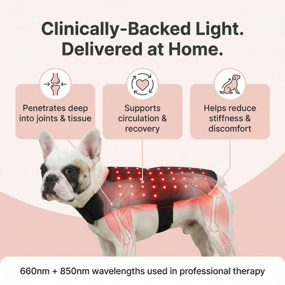 RedPaw Therapy
