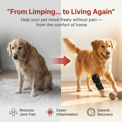 RedStep - Red Light Leg Brace