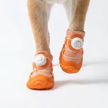 Walk Freely
