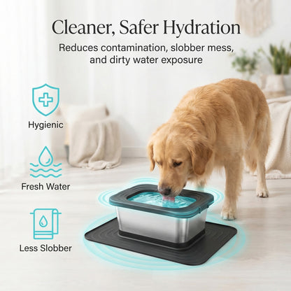 LickIt - Germ-Free Pet Bowl