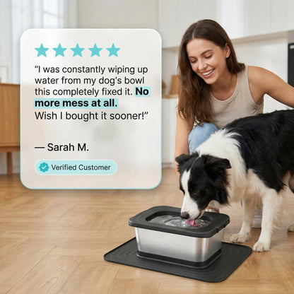 LickIt - Germ-Free Pet Bowl