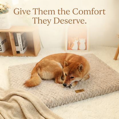Barksy™  Memory Foam Dog Bed