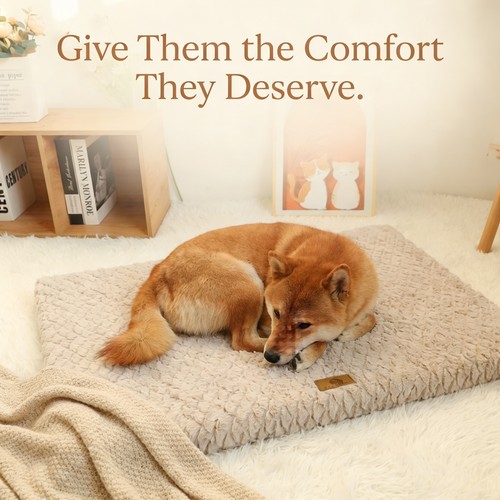 Barksy™  Memory Foam Dog Bed