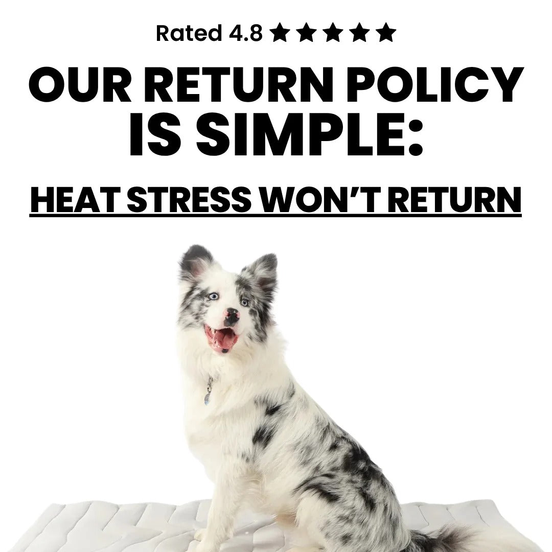 Barksy™ Dog Cooling Mat