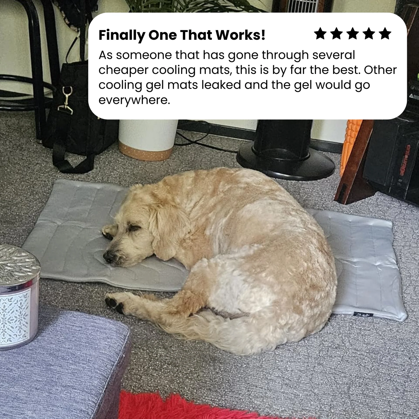 Barksy™ Dog Cooling Mat