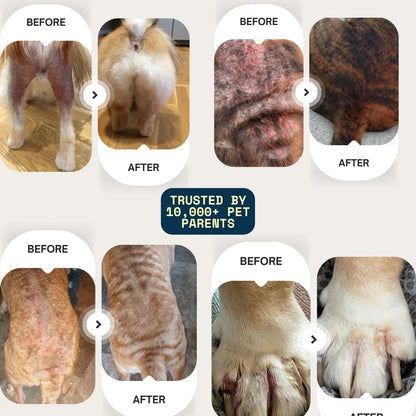 Barksy™ Vet-backed skin relief spray